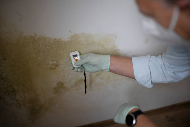 Best Crawl Space Mold Removal  in Abbotsford, WI